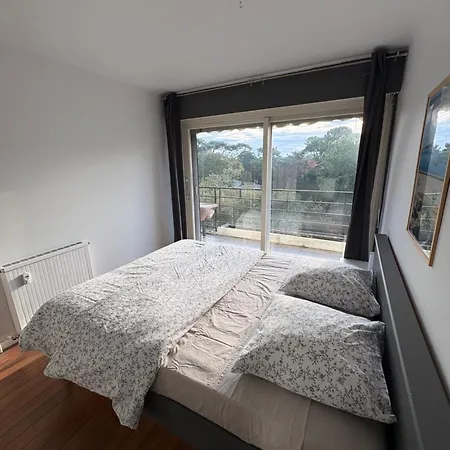 Tao Daire Soorts-Hossegor